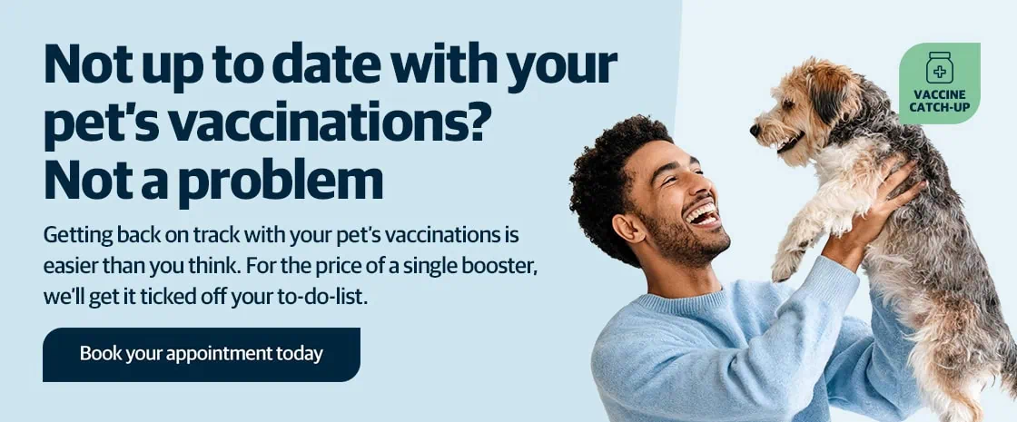 Blackrock Veterinary Clinic | Vets in Dublin