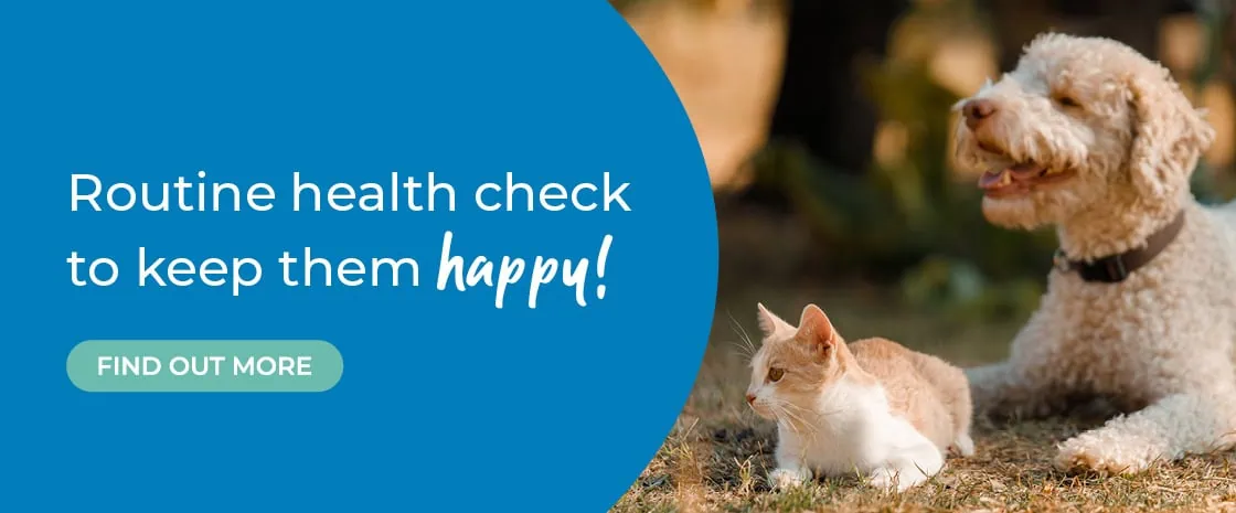 Blackrock Veterinary Clinic | Vets in Dublin