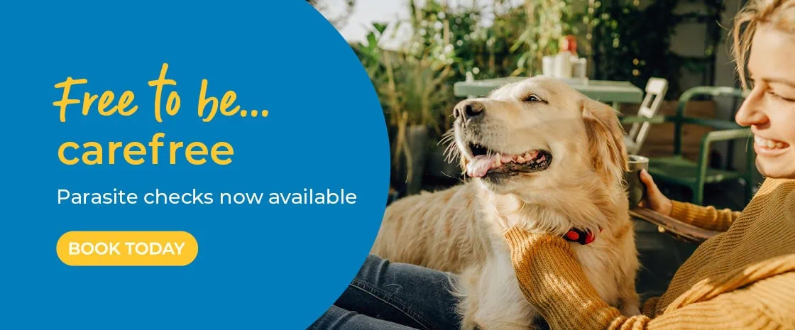 Blackrock Veterinary Clinic | Vets in Dublin