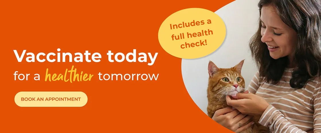 Blackrock Veterinary Clinic | Vets in Dublin